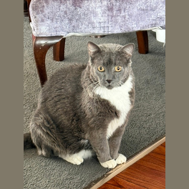 Photo of Timmy