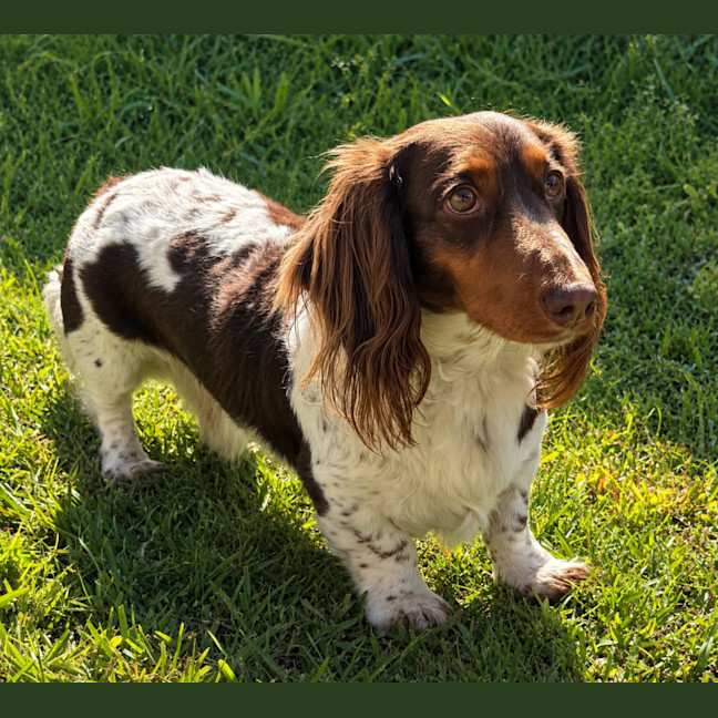 Photo of Pablo