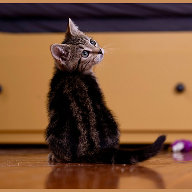 Photo of Lunchlady Doris