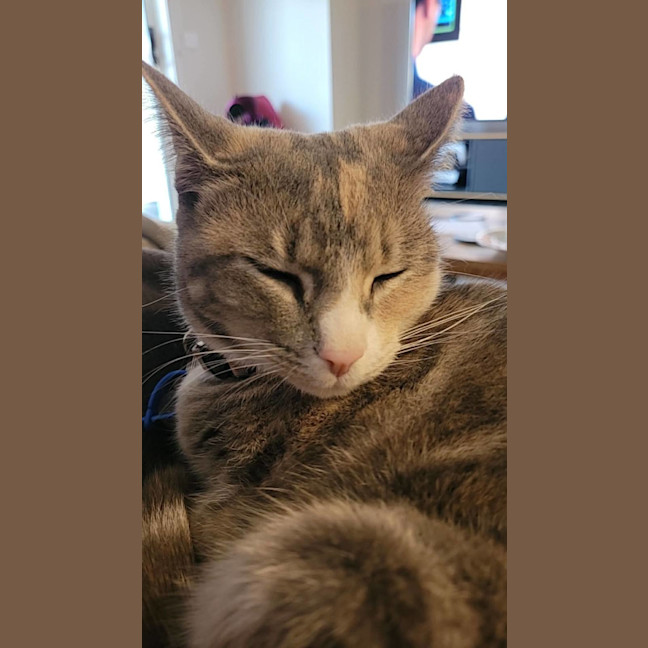 Photo of Giz & Lily