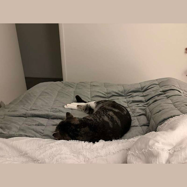 Photo of Toby