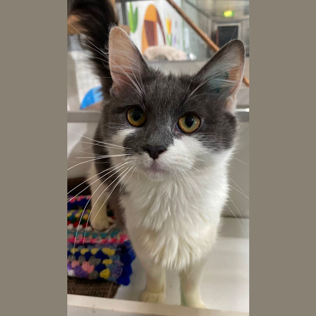 Photo of Rori