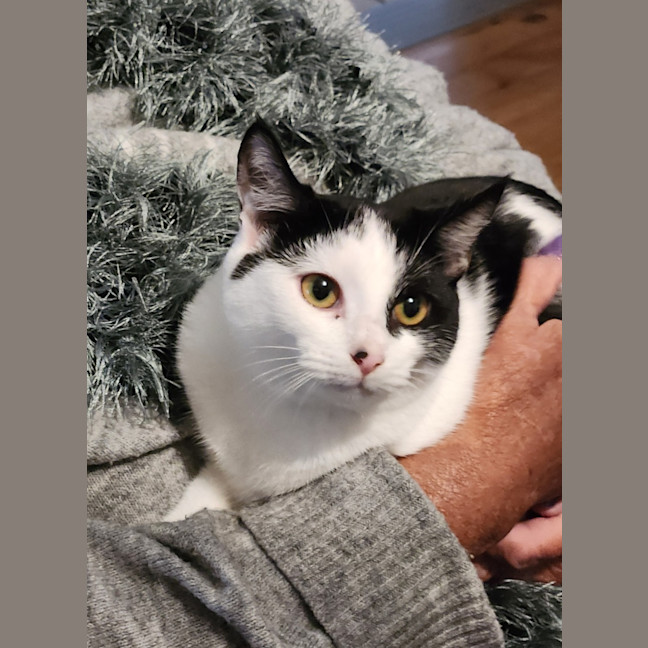 Photo of Blossom