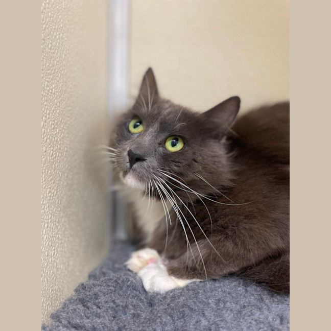 Photo of ✈ Reuben 5603 ✈