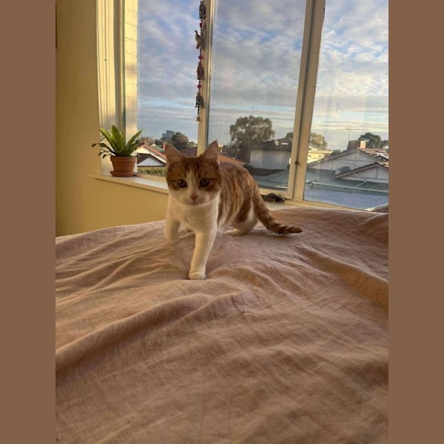 Photo of Edgar (Egg 🥚) 