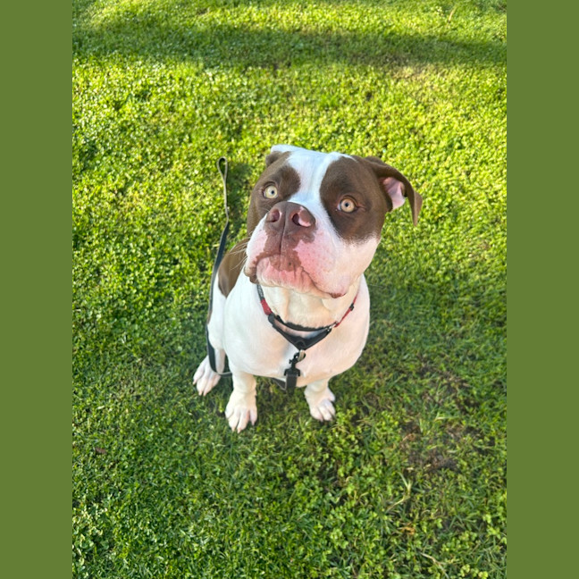 Photo of Kingston
