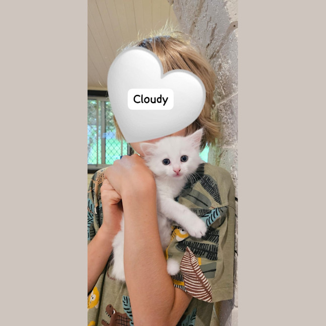 Photo of Cloudy
