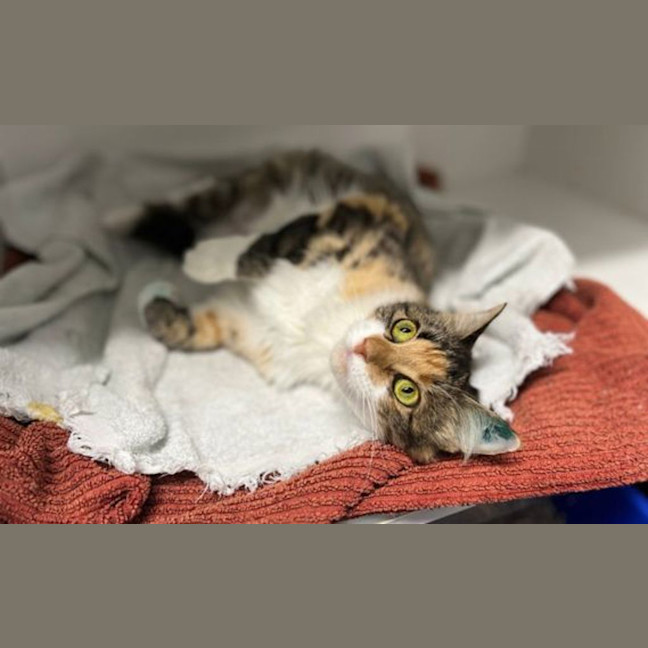 Photo of Sasha