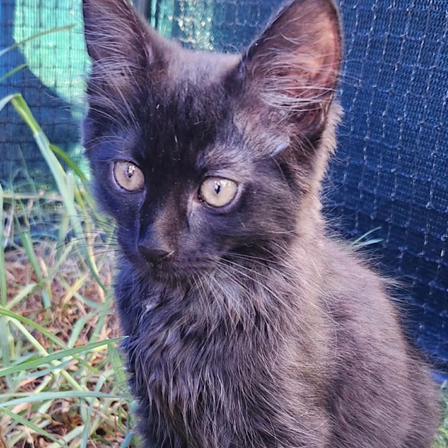 Photo of Tex