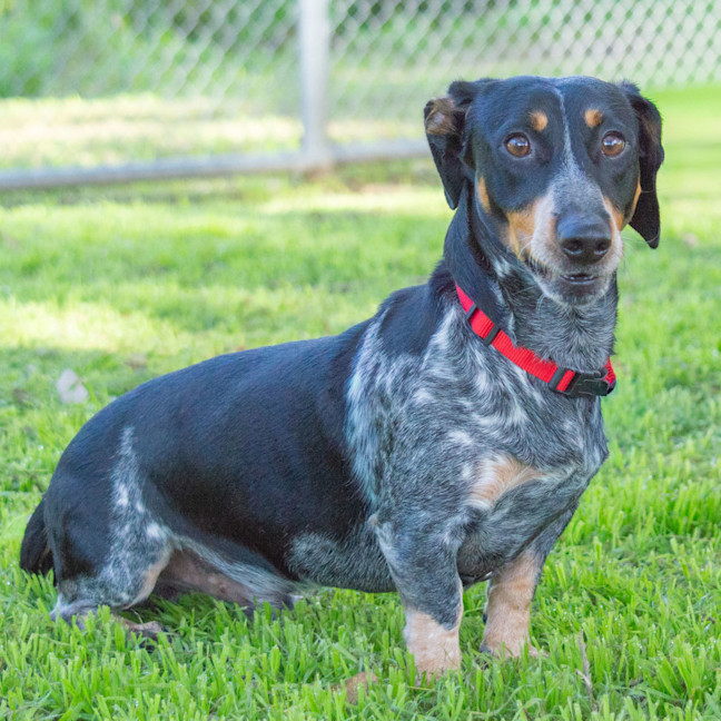 Photo of Hunter
