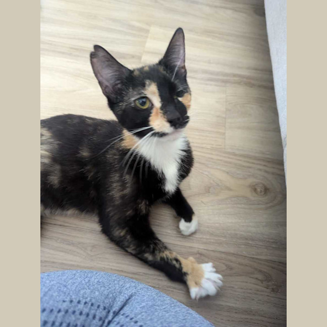 Photo of Trudy