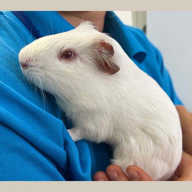 Photo of Arthur