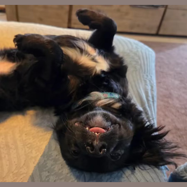 Photo of Roxy