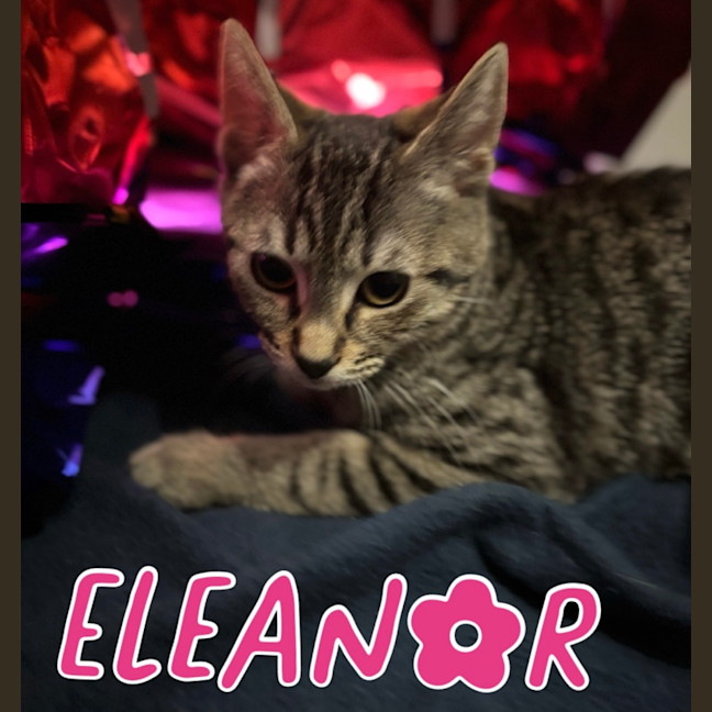 Photo of Eleanor