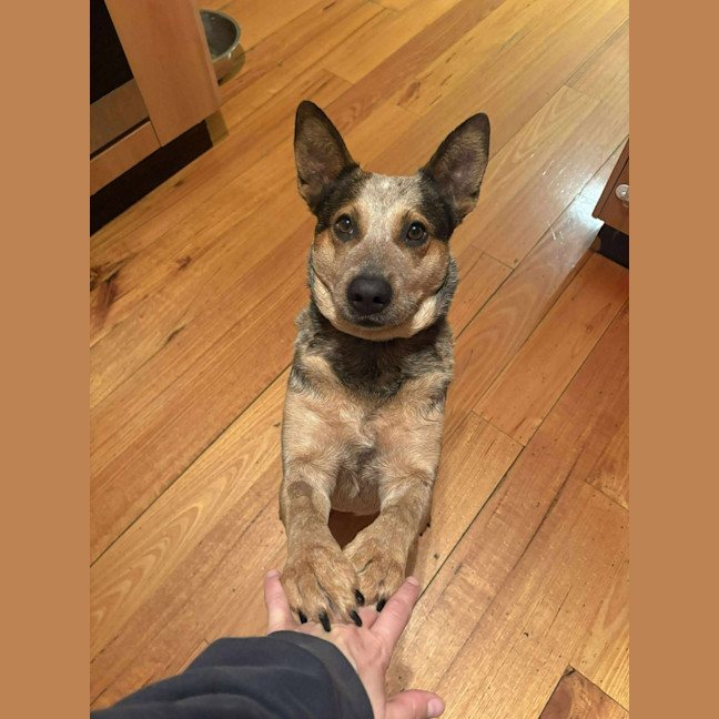 Photo of Shelly