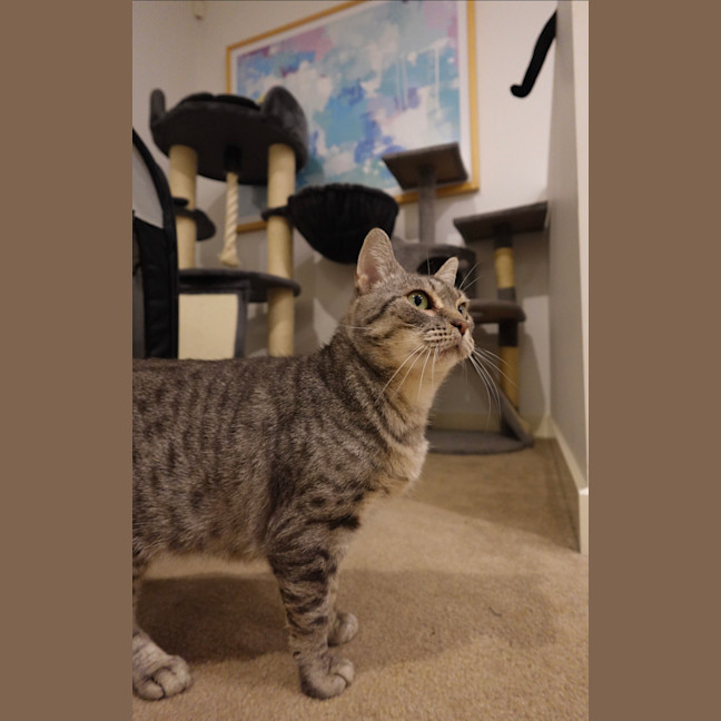 Photo of Kiara