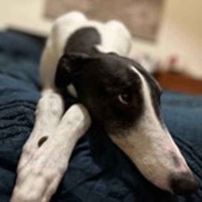 Photo of Hallee