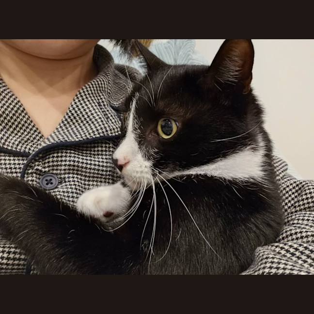 Photo of Mieka And Loki