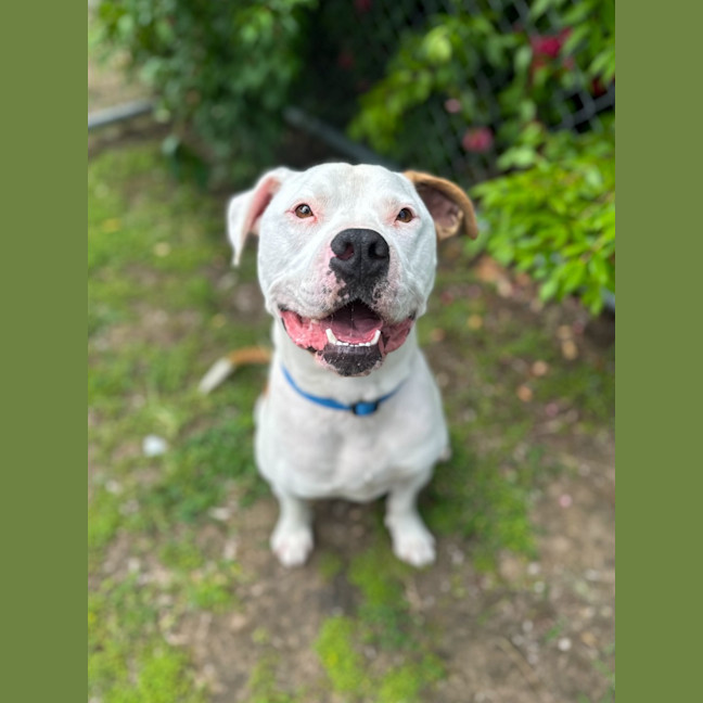 Photo of Spike