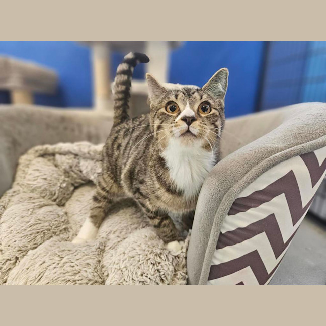 Photo of Willow