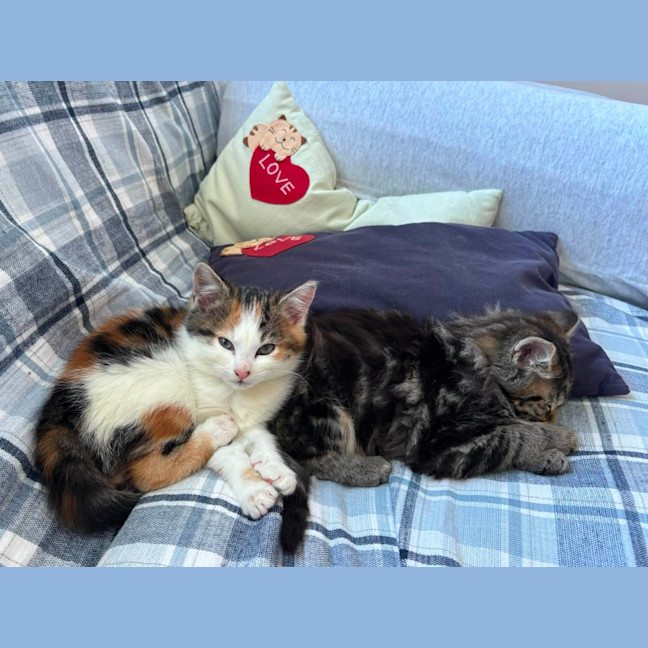 Photo of Brunhilde