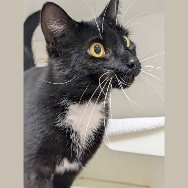 Photo of 🥐 Jacques 6758 🥐