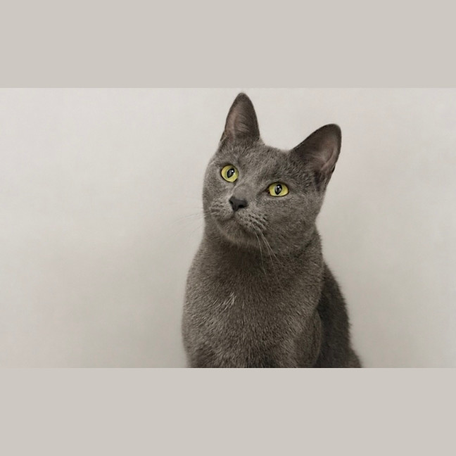 Photo of Bibbi