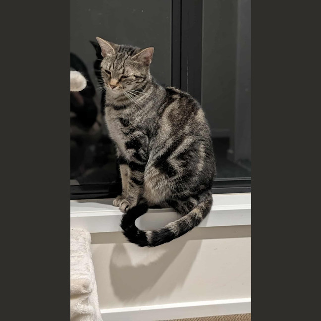 Photo of Susie