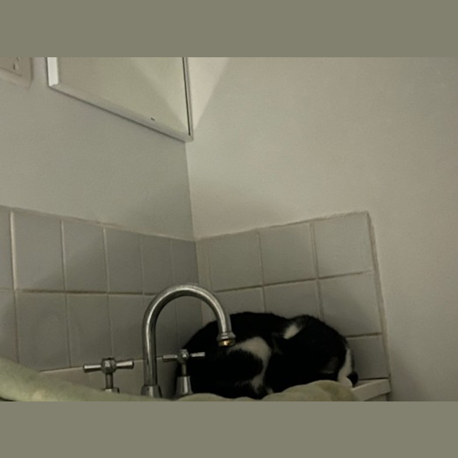 Photo of Sylvia