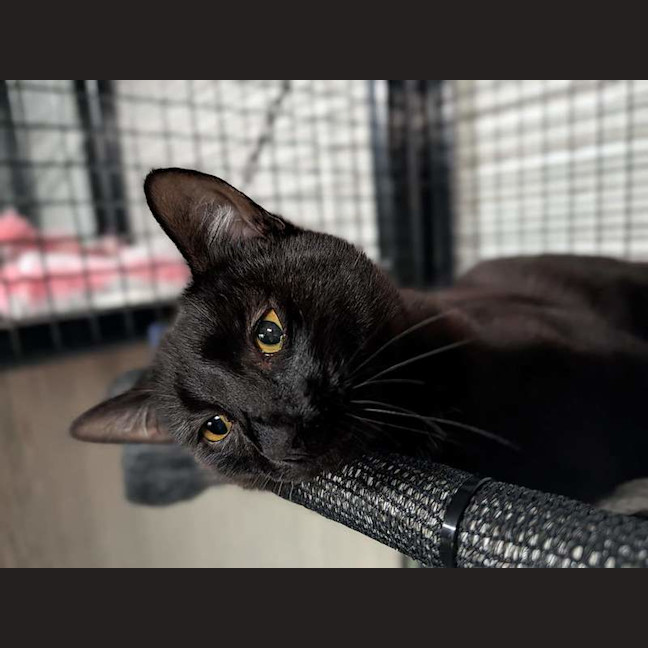Photo of Augie