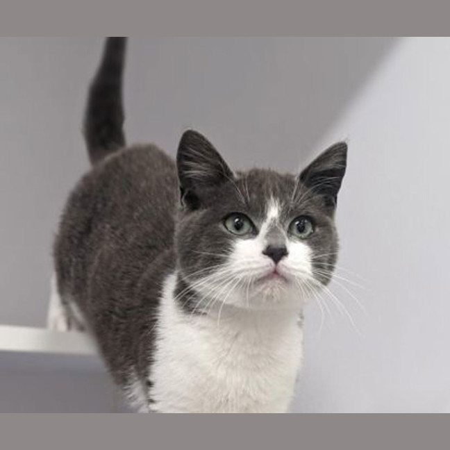 Photo of Mr Belvedere