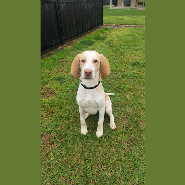 Photo of Post Malone