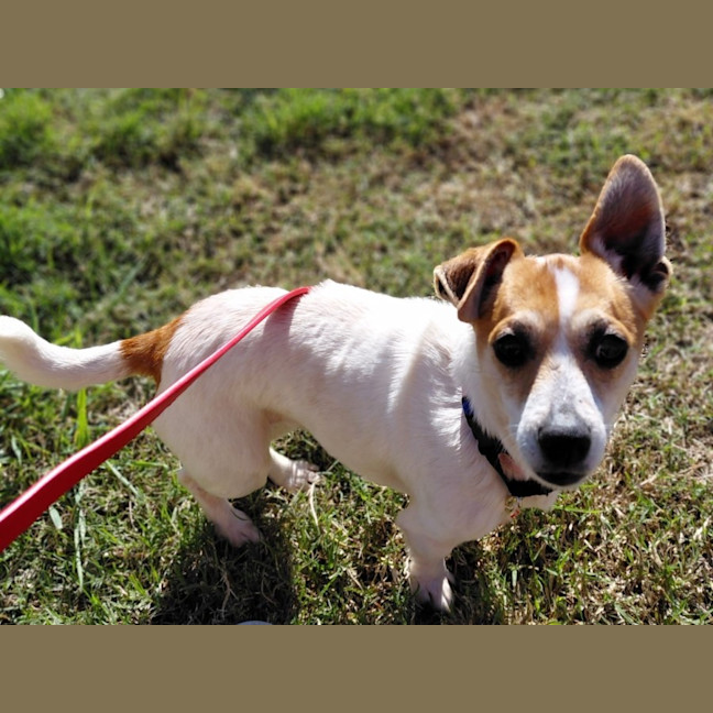 Photo of Dora