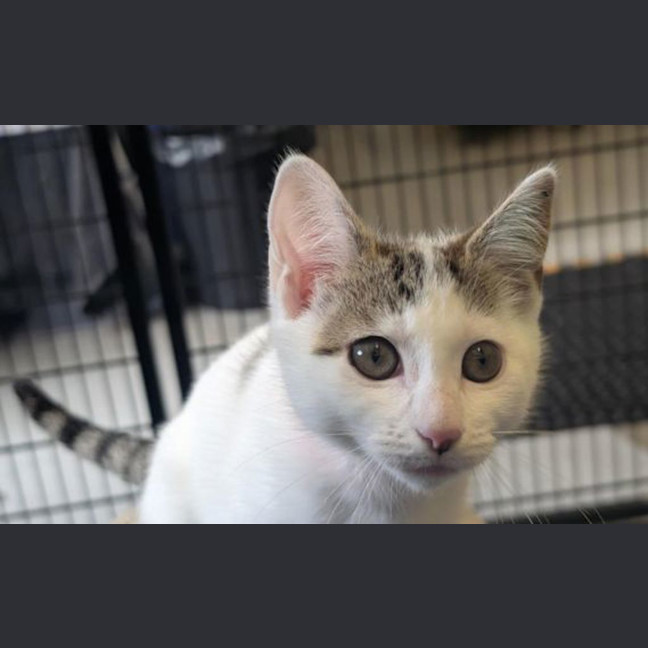 Photo of Miss Chief 