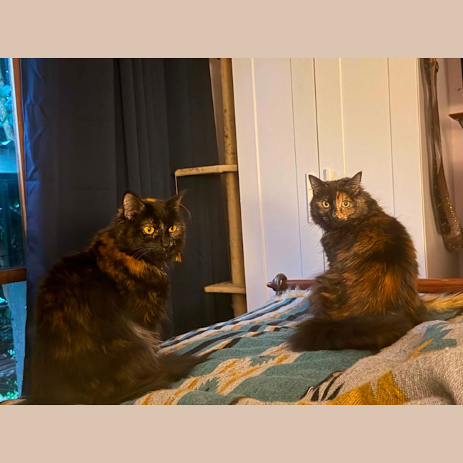 Photo of Hazel & Sage