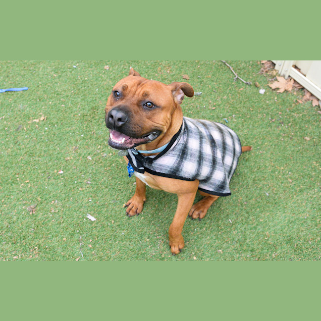 Photo of Rudi