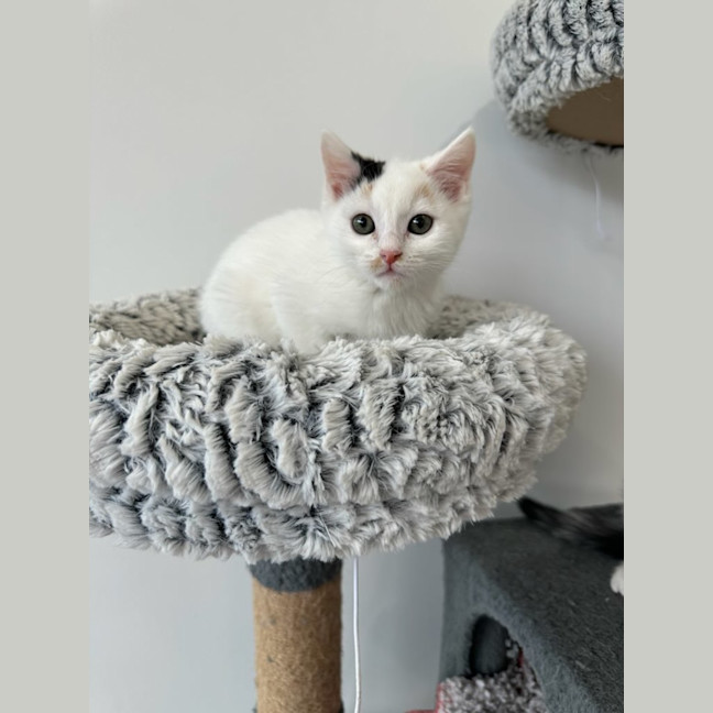 Photo of Emelia May