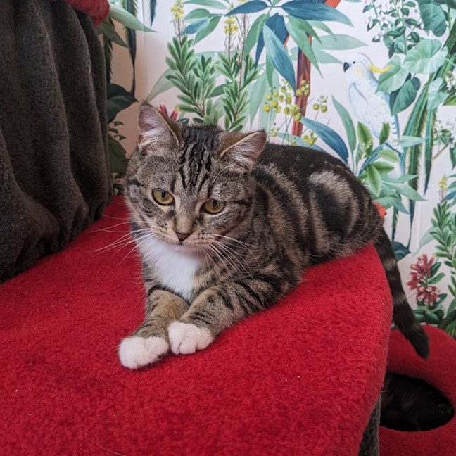 Photo of Taylor   Located In Preston