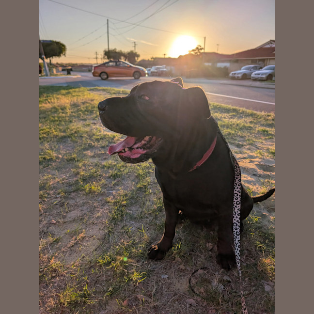Photo of Skye