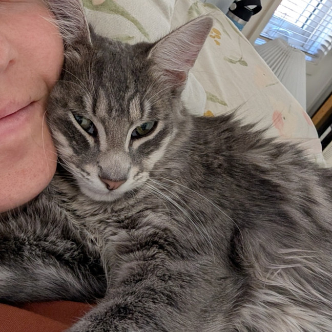 Photo of Dandy