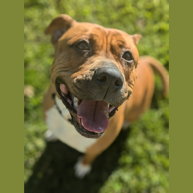 Photo of 🍄 Marley 5313 🍄