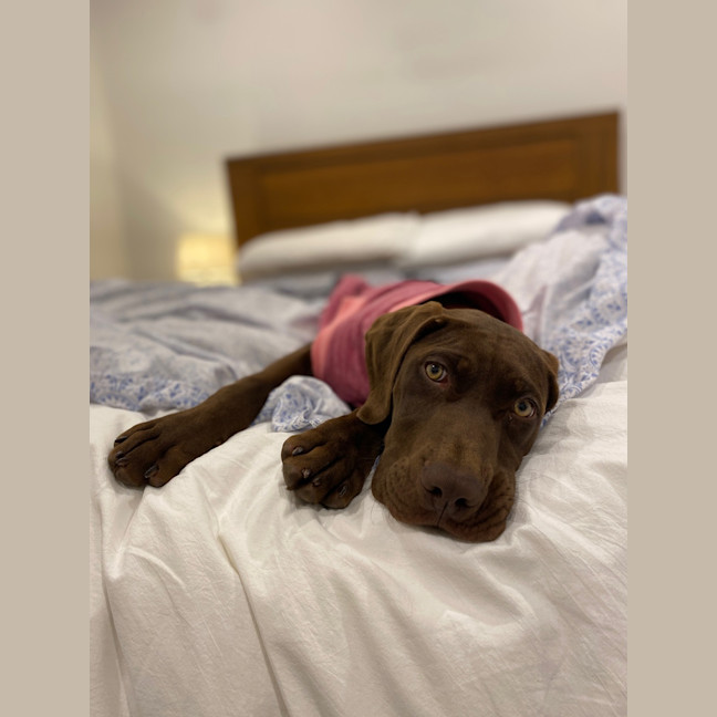 Photo of Gia