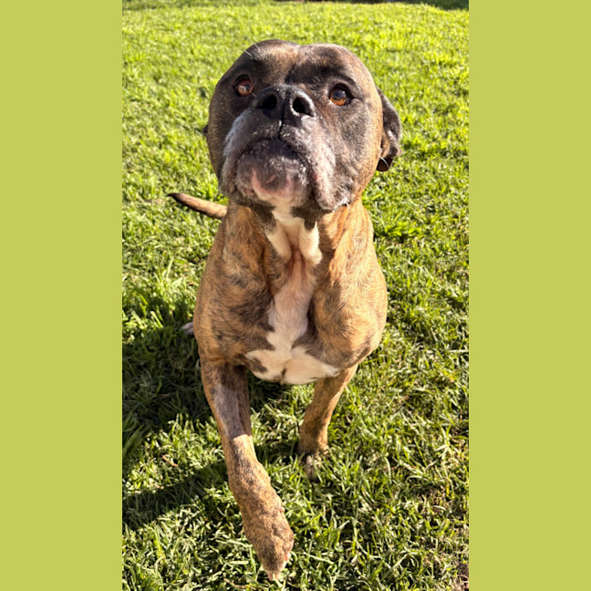 Photo of Cash