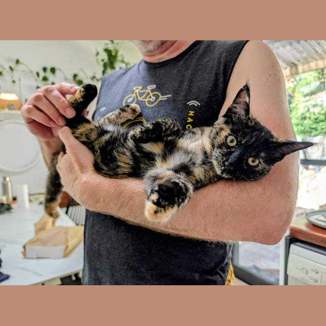 Photo of Dotti
