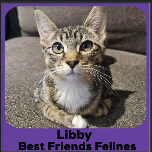 Photo of Libby 