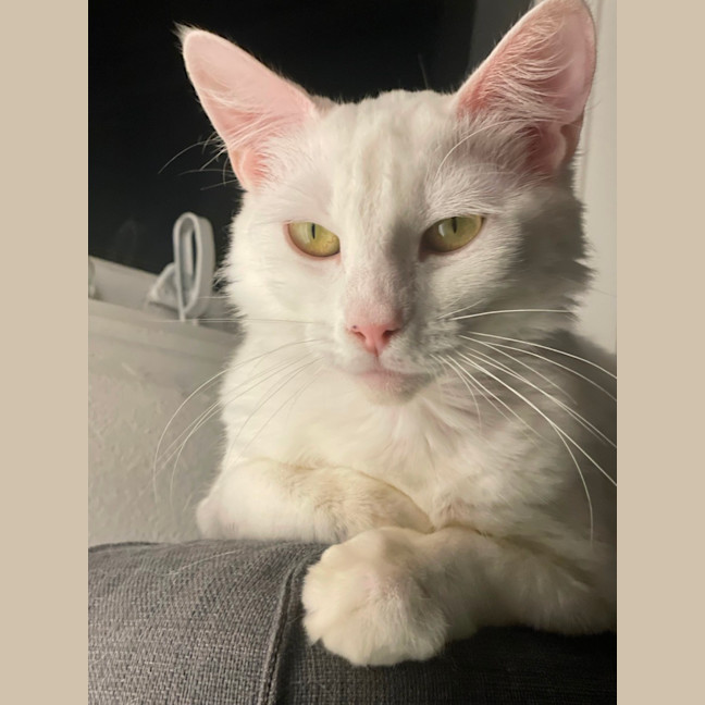 Photo of Dairy Queen