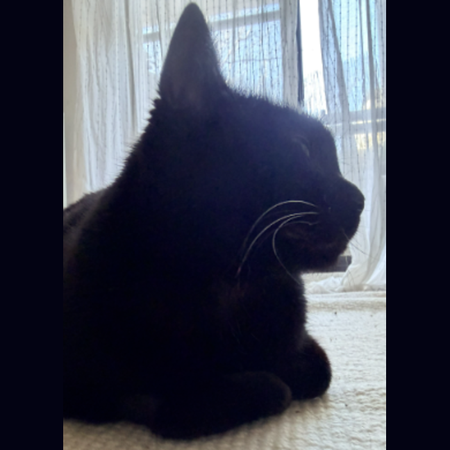 Photo of Suzie