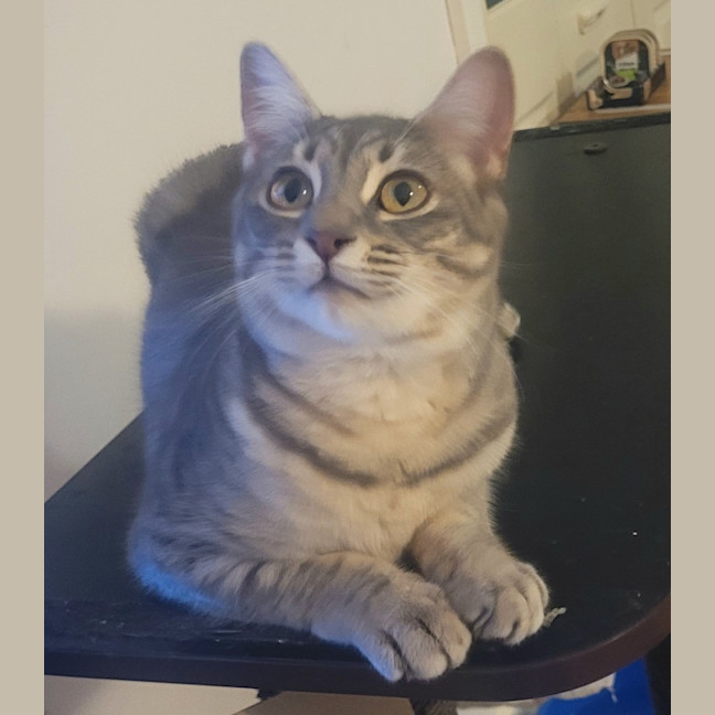 Photo of Jamie