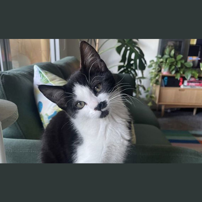 Photo of Mo