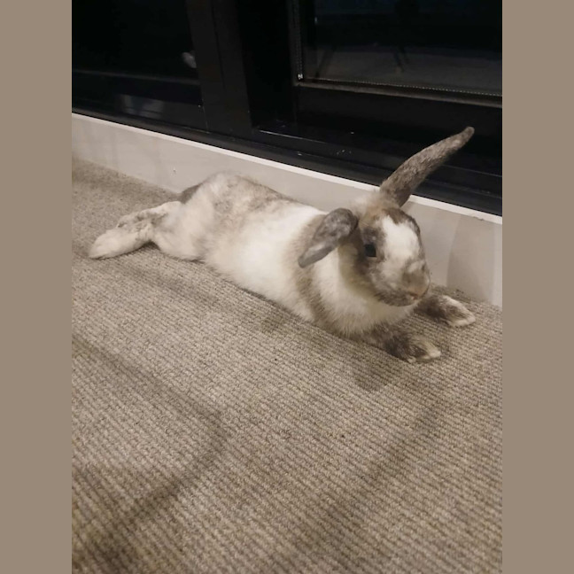 Photo of Kira